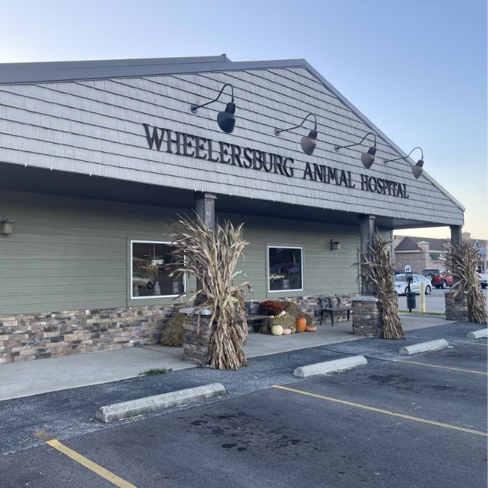 About Wheelersburg Animal Hospital | Vet In Wheelersburg, OH 45694